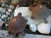 DSCN6615.webp
