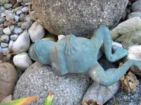 DSCN6614.webp