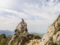 P1180871-1-2.webp