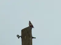 DSCF3112.webp