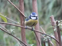 DSCF3115.webp
