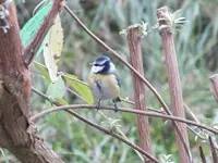 DSCF6021.webp