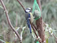 DSCF3119.webp