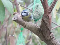 DSCF6031.webp