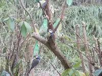DSCF6034.webp