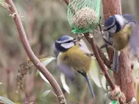 DSCF6023.webp