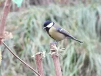 DSCF6030.webp