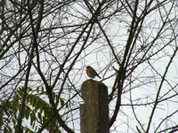 DSCF6058.webp