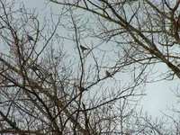 DSCF6072.webp