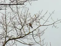 DSCF6073.webp