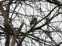 DSCF6092.webp