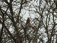 DSCF6097.webp