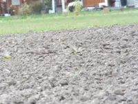 DSCF6105.webp