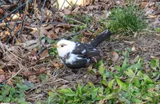IMG_8806-1.webp