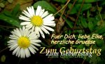 CopyElke 2015 of Copy of Zum Geburtstag.jpg