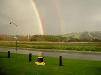 September 2010 259v.webp