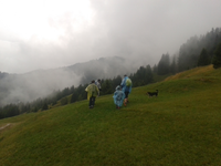 tmp_13076-20130819_140740-1588788485.webp