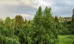 IMG_1549-Regenbogen-3-1.webp