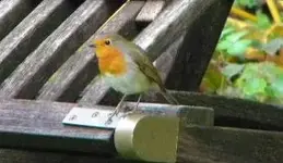 DSCN0194.webp