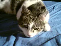Lucy.webp