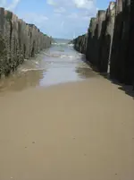 Holland 2009 005.jpg