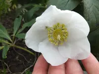 DSCF3036.webp