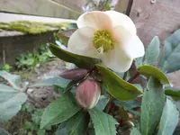 DSCF3048.webp