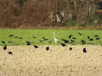 DSCF6159.webp