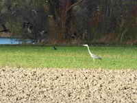 DSCF6167.webp