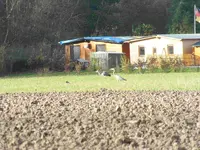 DSCF6176.webp