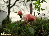 IMG_5904.webp