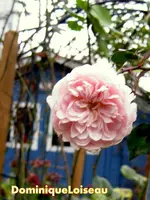 IMG_5910.webp