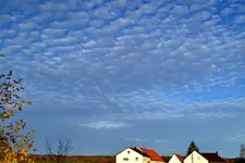 Blau-Weiß_0002.webp