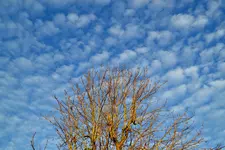 Blau-Weiß_0006.webp