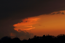 golden_orange_rot_sunset_Wolken_clouds_900.webp
