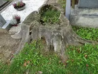 Heiligenkreuz 032.webp