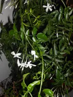 DSCN3418.webp