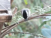 DSCF6302.webp