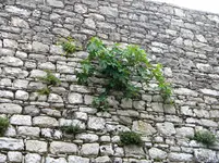 DSCN8114.webp