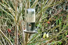 DSCF4551 (2).webp