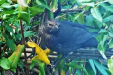 DSCF4537 (2).webp