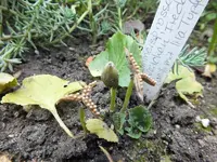 DSCF6218.webp