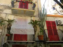 DSCN8245.webp