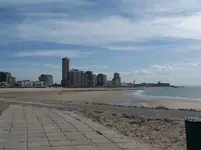 100_2575.webp
