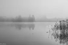 IMG_2214-2.webp