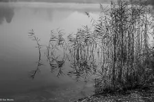 IMG_2220-2.webp
