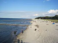 003.webp