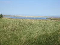 017.webp