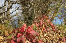 IMG_6729-a.webp