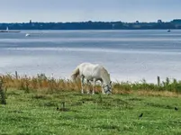IMG_8071-Blick-über-den-Sund-nach-Dänholm-1.webp